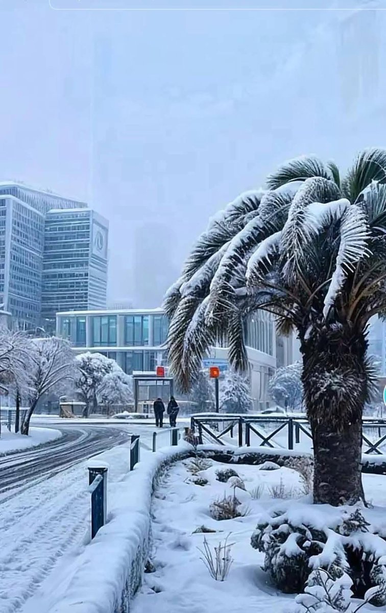 Algeria3New's tweet photo. Tôt ce matin, la ville de sétif s'est habillée en blanc.

🥰🇩🇿❤️ https://t.co/F0dmCuI5yZ