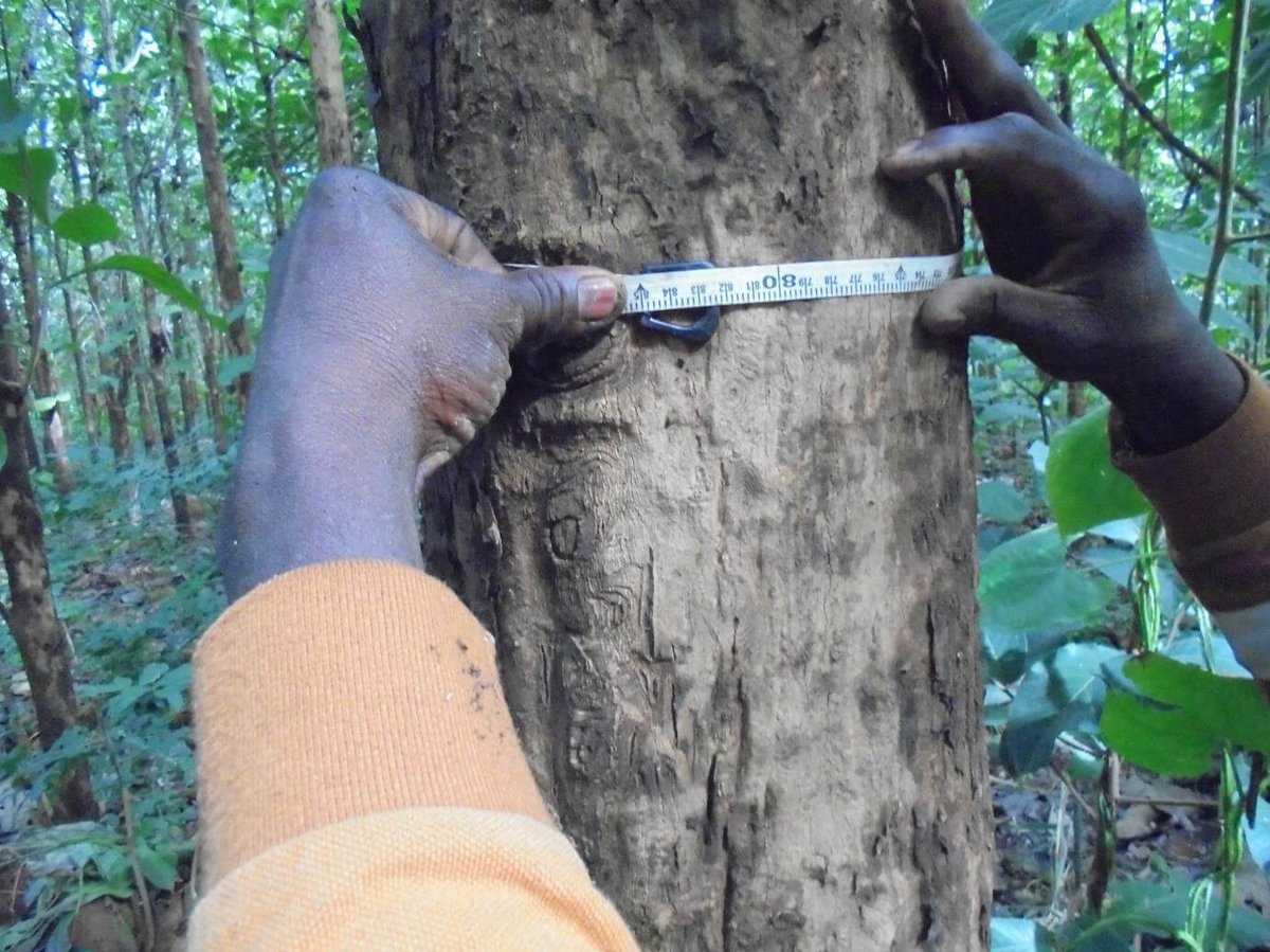 How insurance innovation could unlock billions for nature-based climate solutions. <a href="/mikescottgreen/">Mike Scott</a> reports. <a href="/howdenlocaluk/">Howden Insurance</a> <a href="/SwissRe/">Swiss Re</a> <a href="/MerePlantations/">Mere Plantations</a> <a href="/tslavinm/">Terry Slavin</a> #NatureFinance #NatureBasedSolutions #Biodiversity #ClimateFinance #RegenerativeAgriculture
reuters.com/sustainability…