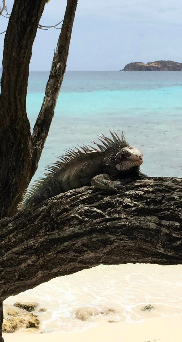 There is no place like home! 🏠 😍