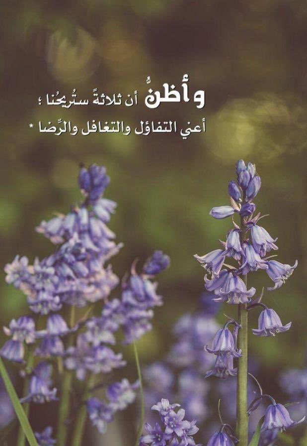 الريم (@hala_alsahab) on Twitter photo 