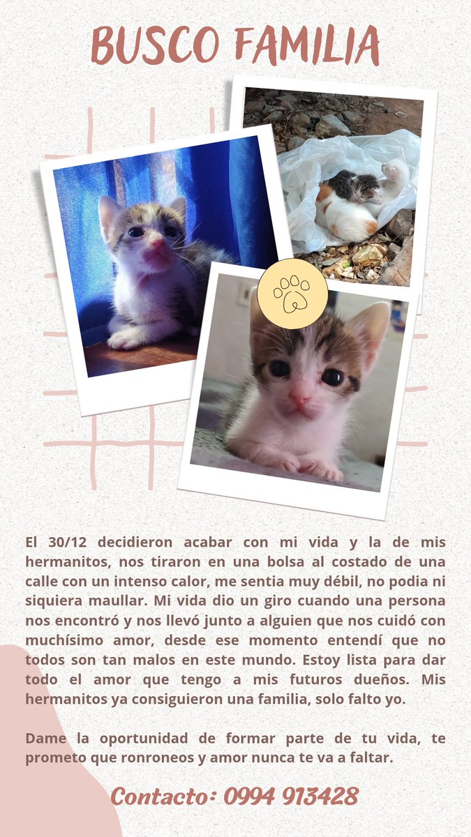 NGinzo's tweet image. Rt porfi 🎀✨️