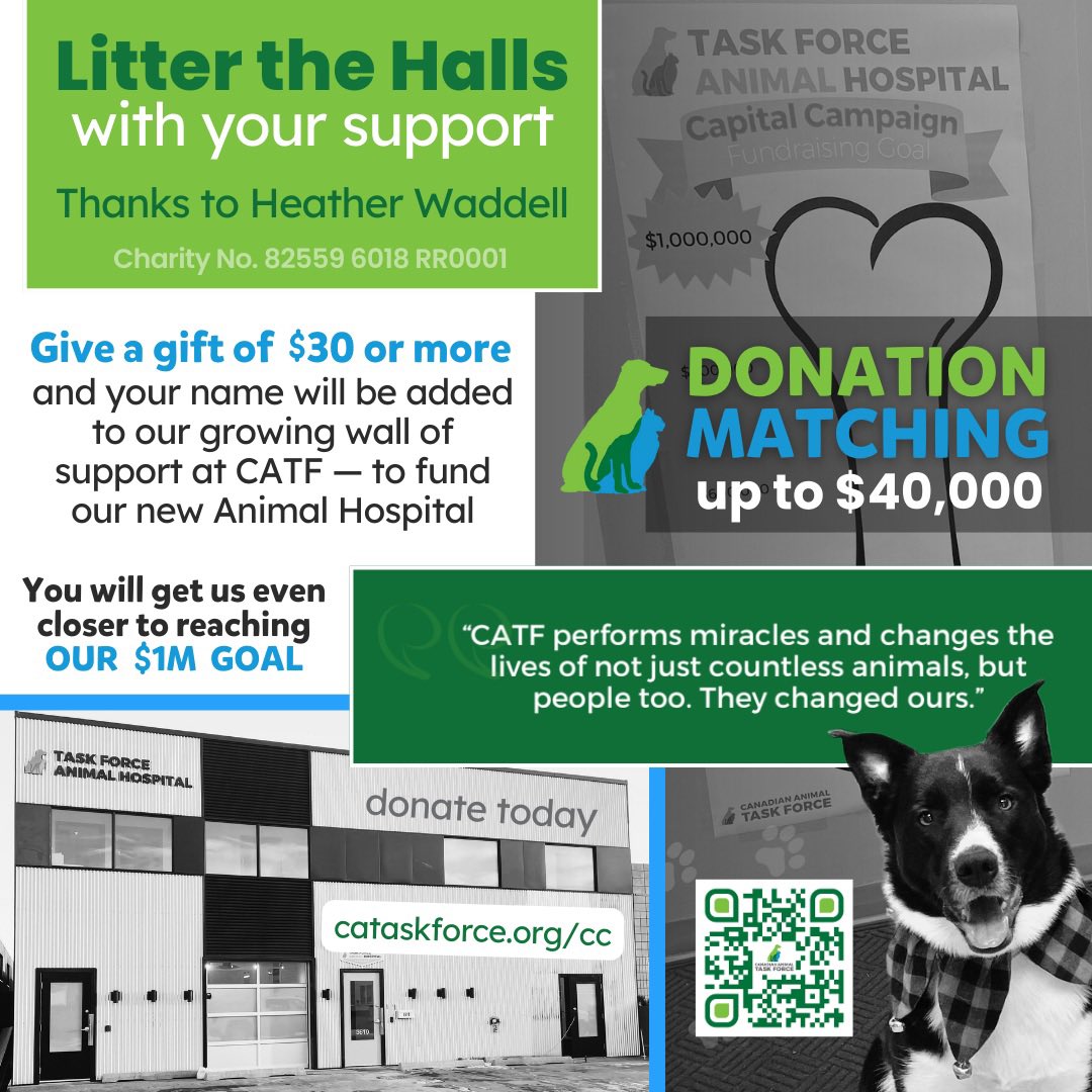 ca_taskforce's tweet photo. Have you heard? 📣 Great news for #yyc pet owners. The Task Force Animal Hospital is on the horizon — learn more at https://t.co/jPuM1qzFCI #Calgary #AnimalHospital https://t.co/J5sku2CbNQ