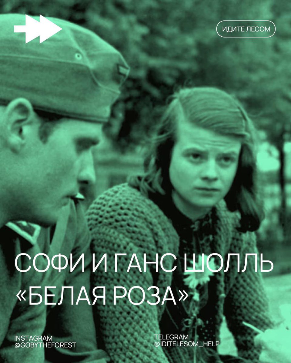 «Белая роза»: студенты против Гитлера

В 1942 году, на фоне ужасающего террора нацистской Германии, группа студентов Мюнхенского университета создала подпольное движение «Белая роза». Их оружием были не винтовки, а листовки — тысячи экземпляров текстов, открывающие глаза