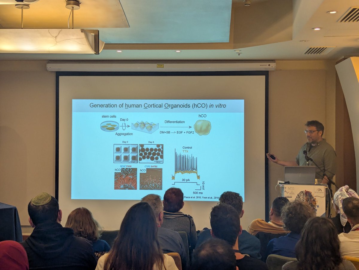 Gadi Gilam גדי גילעם جدي جيلام tweet media