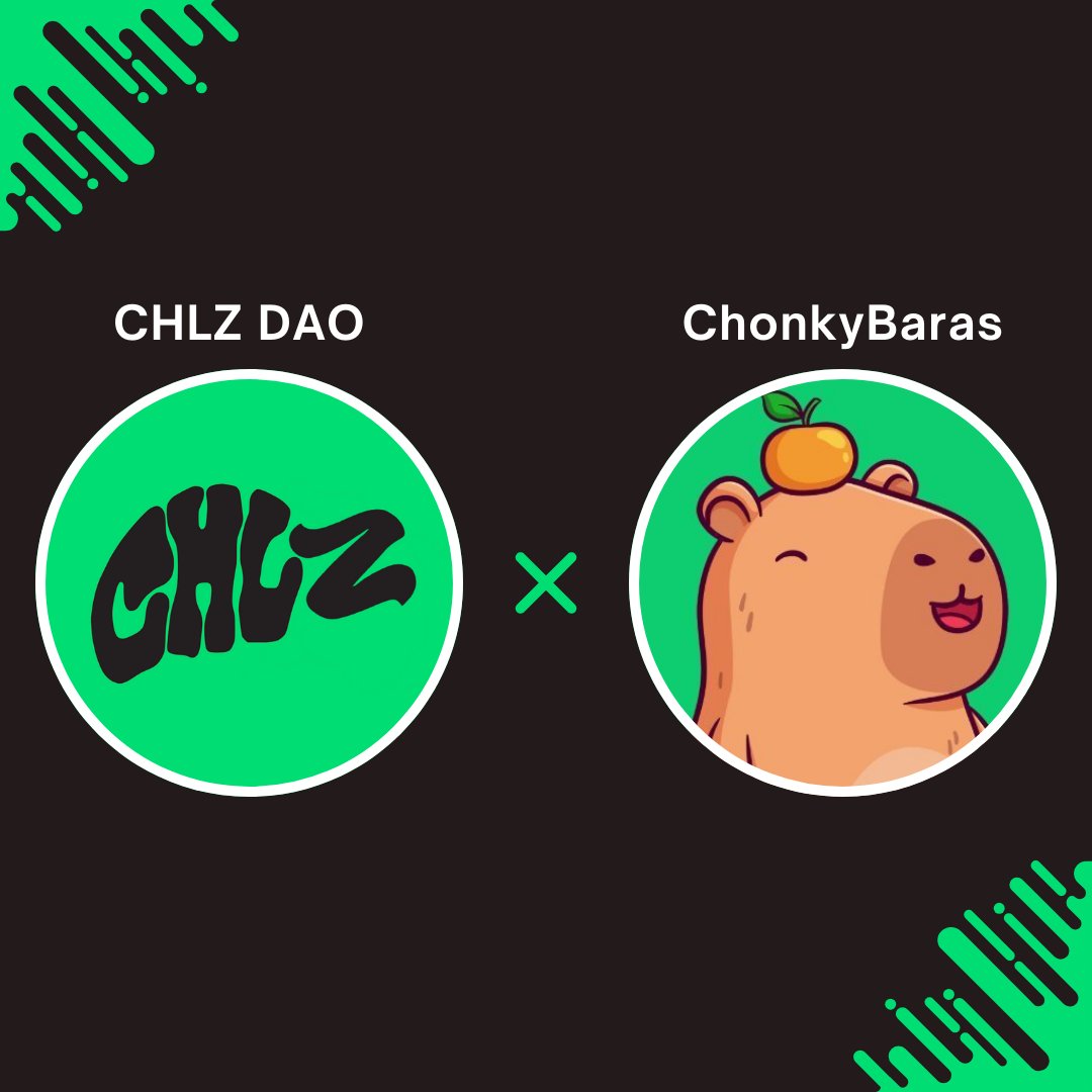 CHLZ DAO x <a href="/chonkybaras_abs/">ChonkyBaras</a>!