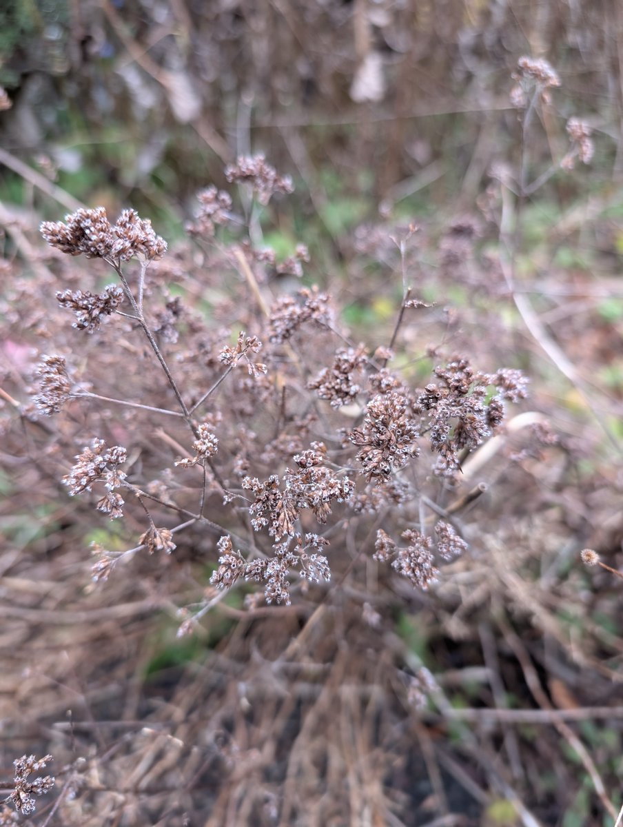 BGandTorfaenLNP tweet media