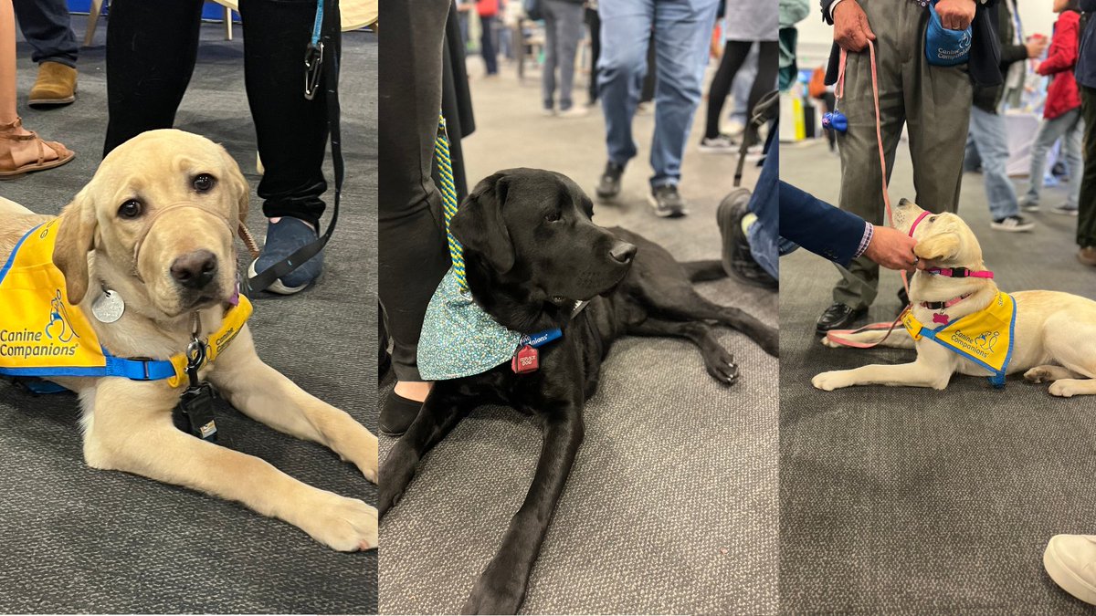 Gencove's tweet photo. Future service dogs Gelato and Karma and service dog Klondike provided some much needed pup therapy at the Gencove booth yesterday. Thanks to our partner @canineorg for sharing them with us! Karma will be back this morning along with Haines, 9:30-10:30. Come meet them! #PAG32 https://t.co/9JvTN3JxO4