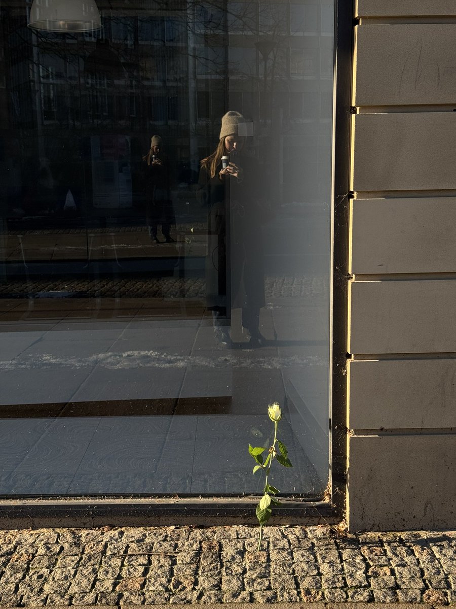 _alinatrifan's tweet image. flowers lately