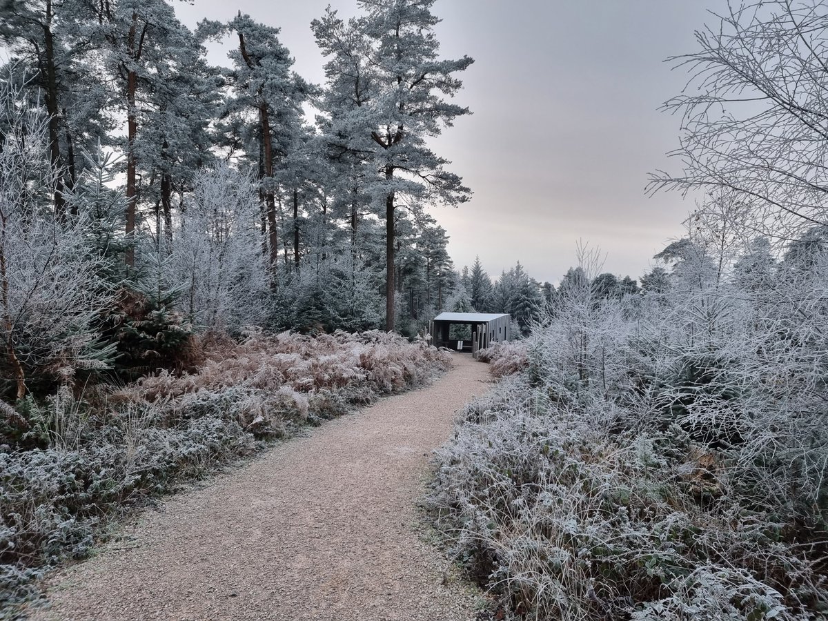 Visit Exeter (@visitexeter) on Twitter photo We know it's tough leaving the comfort of your home in the winter but step outside & there's rewarding scenes like this waiting <a href="/HaldonForestFE/">Haldon Forest Park</a>❄️
This time of year is perfect for exploring the great outdoors & banishing those winter blues.🌲tinyurl.com/yck2rta4
#visitexeter We know it's tough leaving the comfort of your home in the winter but step outside & there's rewarding scenes like this waiting <a href="/HaldonForestFE/">Haldon Forest Park</a>❄️
This time of year is perfect for exploring the great outdoors & banishing those winter blues.🌲tinyurl.com/yck2rta4
#visitexeter