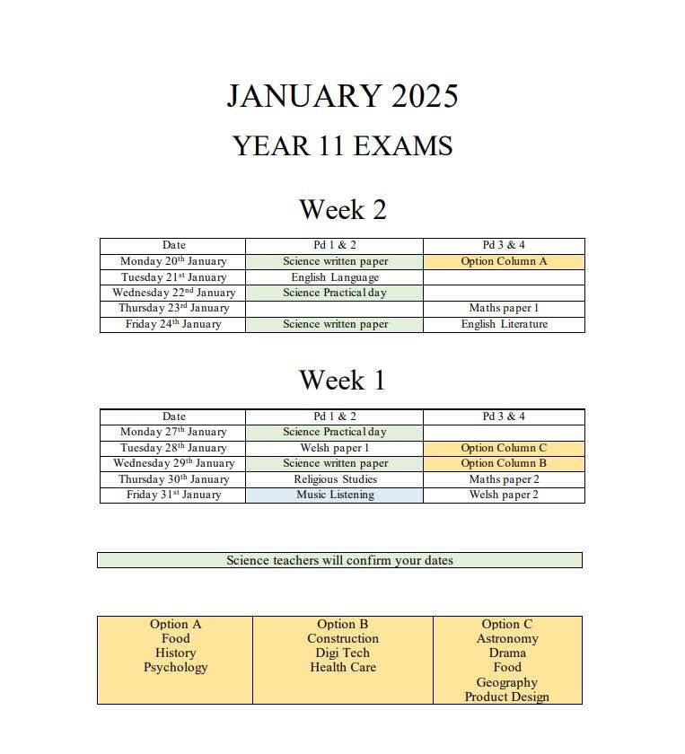FAO Year 11 Parents/Carers

Below is the Year 11 Mock timetable, Starting on Monday the 20th January.