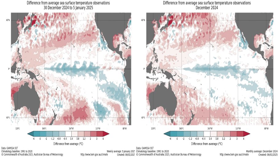 Jason Nicholls 💙 tweet media