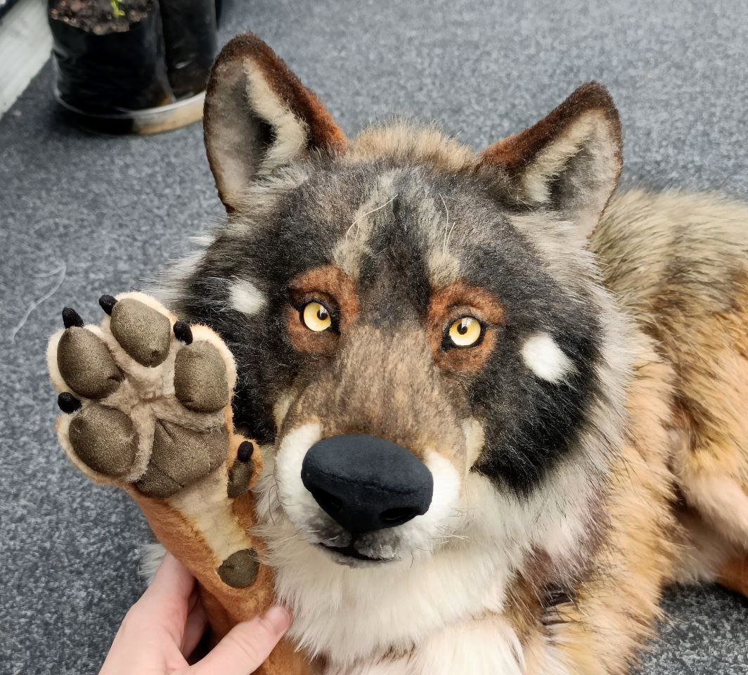 yellow_fr3ak's tweet photo. All done with this Ibearn wolf 🐺
https://t.co/udGexgQ1Yd https://t.co/27CXwrc94A
