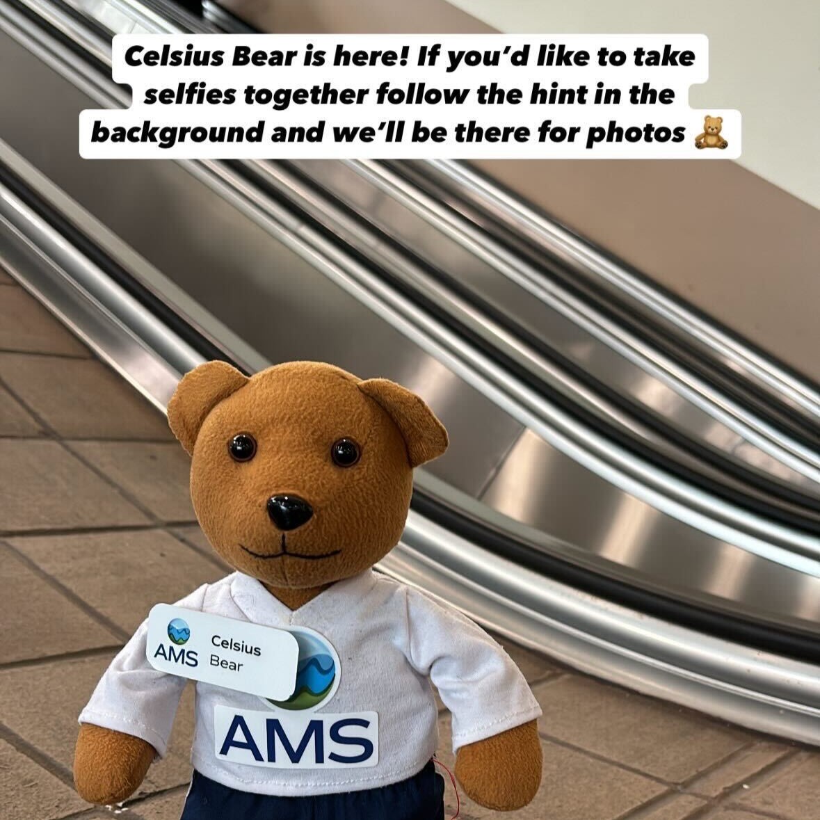 AMSeducation's tweet image. Get ready, #AMS2025! Celsius bear is on the loose and ready for selfies. 🐻📸 Come find us!