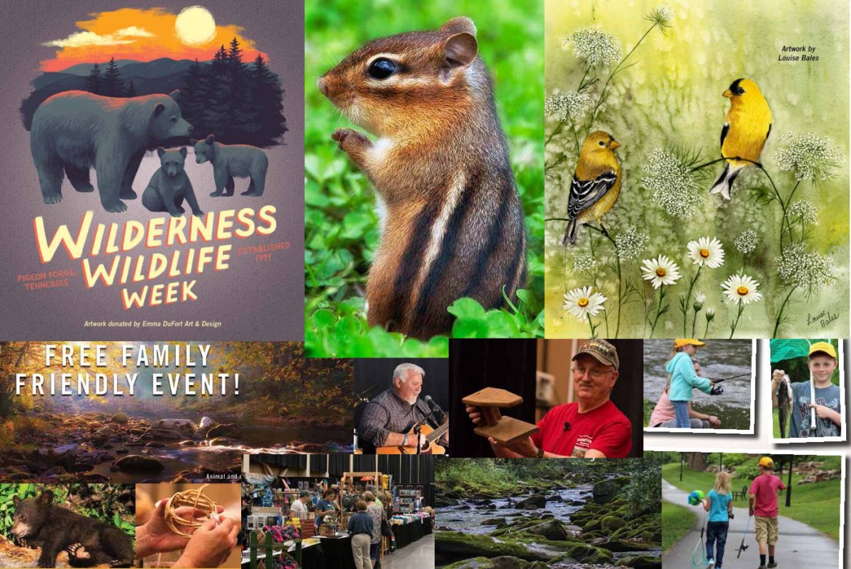 GFallsResort's tweet photo. Celebrate the the abundance of wildlife, plants, trees, wildflowers, and the history of the GSMNP during Wilderness Wildlife Week hosted in Pigeon Forge from Jan 28-Feb 1. Registration for hikes, bus tours and craft classes opens this Wed, Jan 15 >> https://t.co/hMGaTY0JpT https://t.co/BvwGxUMySd