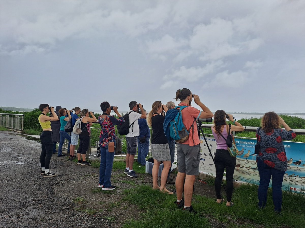 Maison pour la science en Guyane tweet media