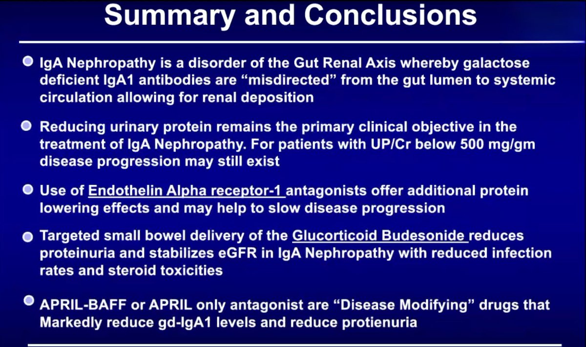 NYUnephro's tweet image. 💎 Nephrology Grand Rounds:
IgA Nephropathy: Pathophysiology of the Gut-Renal Axis-Expanding Therapeutic Options by Dr. James A. Tumlin — Professor of Medicine @EmoryNephrology and Director of @NephroNet Clinical Trials Consortium ⚡️