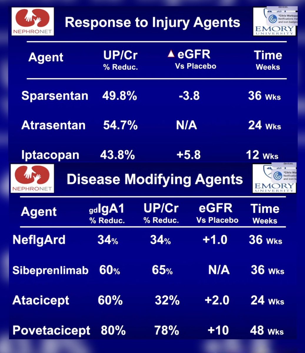 NYUnephro's tweet image. 💎 Nephrology Grand Rounds:
IgA Nephropathy: Pathophysiology of the Gut-Renal Axis-Expanding Therapeutic Options by Dr. James A. Tumlin — Professor of Medicine @EmoryNephrology and Director of @NephroNet Clinical Trials Consortium ⚡️