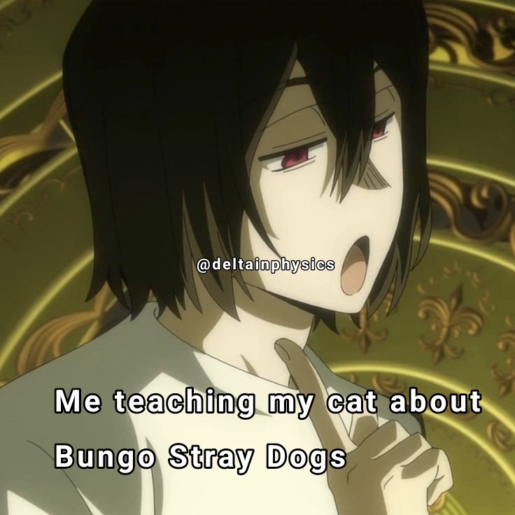 deltainphysics's tweet photo. I love him sm and I hope he loves BSD too

#fyodordostoevsky #BungouStrayDogs #meme #Cat https://t.co/gqXYJD3oap