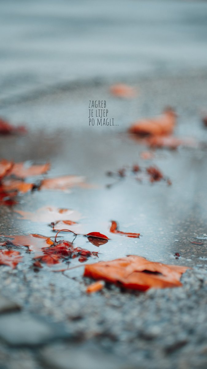 Mario Poje tweet media