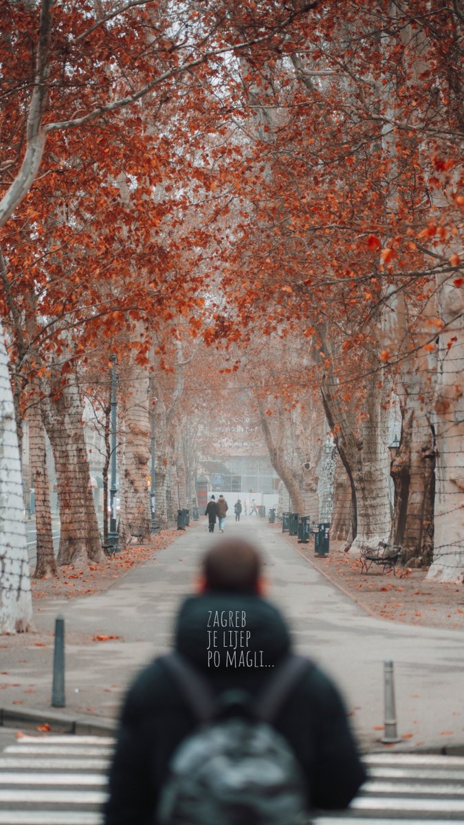 Mario Poje tweet media