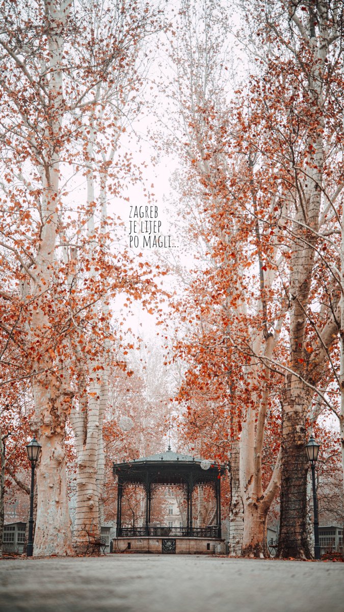 Mario Poje tweet media