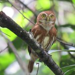 Photo by Lodge at Pico Bonito (@PicoBonito)