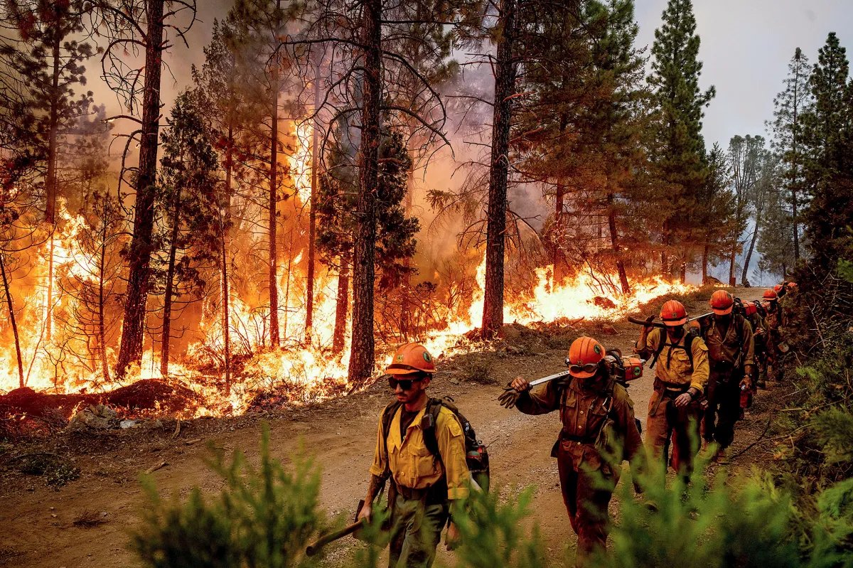 PlinioElGuapo's tweet photo. El sistema de extinción de incendios forestales en California es uno de los más sofisticados del mundo.

Combina agencias locales, estatales y federales. En este hilo te explico el papel de cada entidad y la estructura de mando según los niveles de emergencia. https://t.co/GnokPoJblL