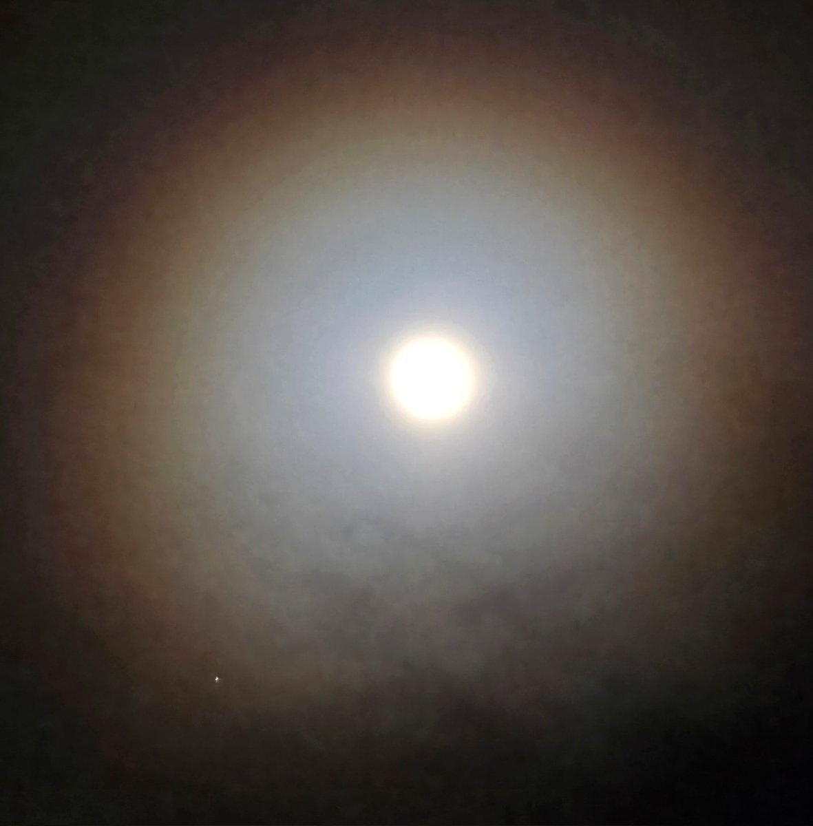 PeterLewis55's tweet photo. Tonight's Full Wolf Moon. There's a great corona around it with Mars just sitting on the edge. @StormHour @ThePhotoHour @MoonHourSocial #MoonHour #FullMoon #wolfmoon2025 https://t.co/PkGAO2Fzu9