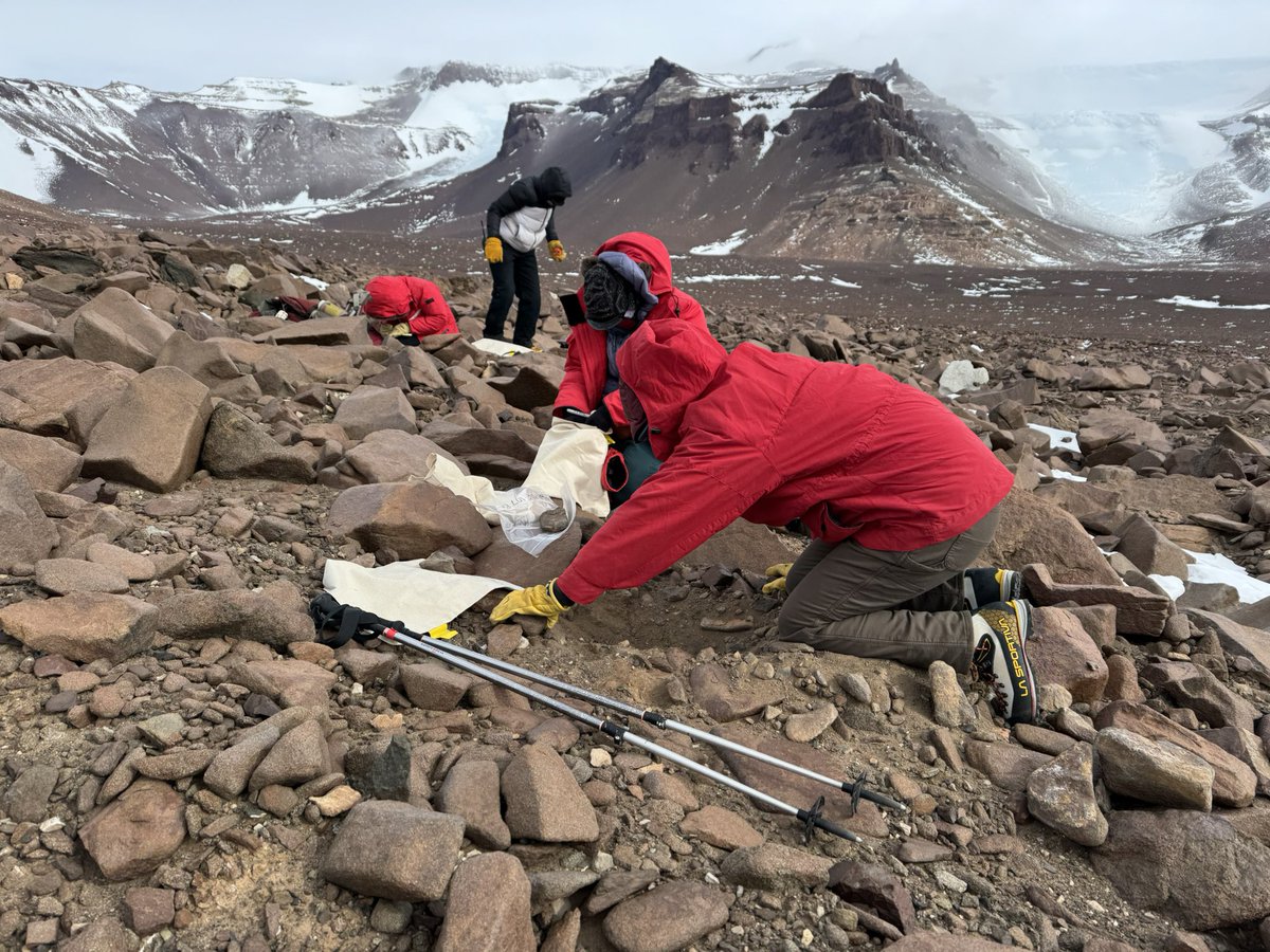 Dan Morgan tweet media