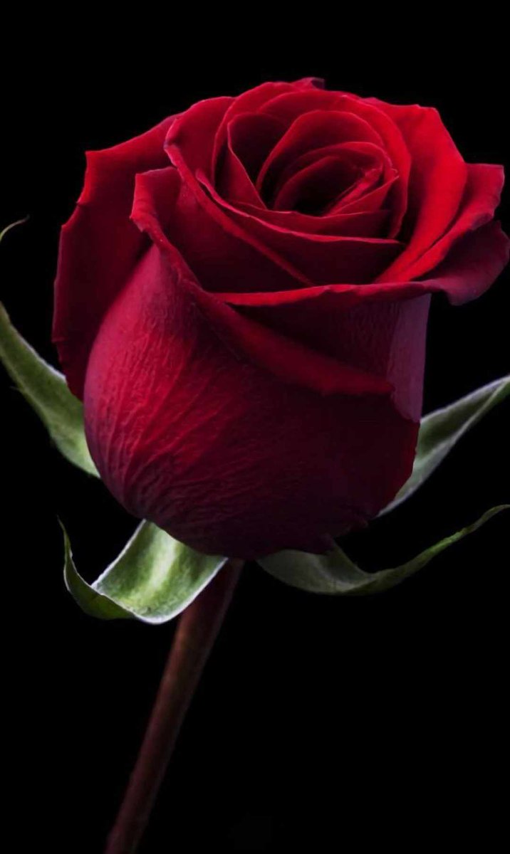 ou19001's tweet photo. @talebatalgofran https://t.co/m4dAUkJGDe