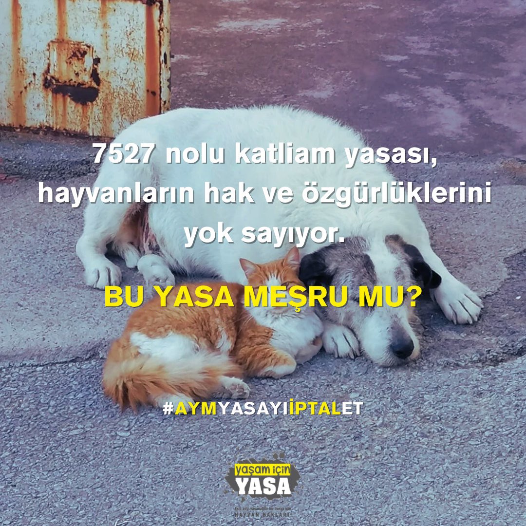 yasamicinyasa's tweet photo. Hayvanların hak ve özgürlüklerini yok sayan bu yasa MEŞRU DEĞİLDİR!

#AymYasayıİptalEt 

@AYMBASKANLIGI @aymconstcourt https://t.co/pR9iVkBVb4