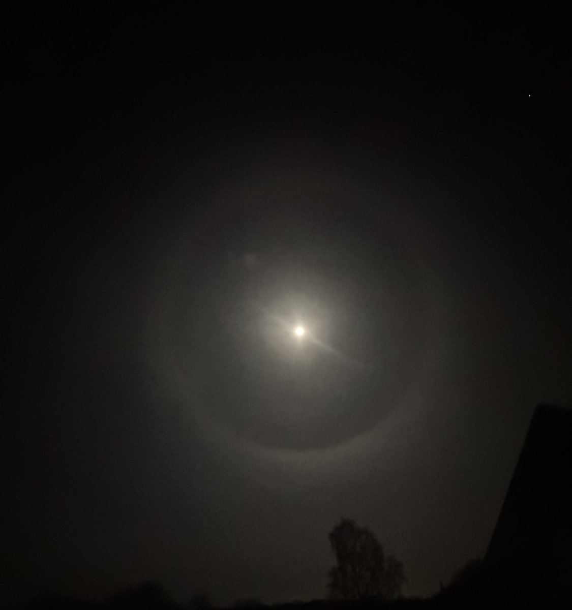 Philipp S. Holstein tweet media