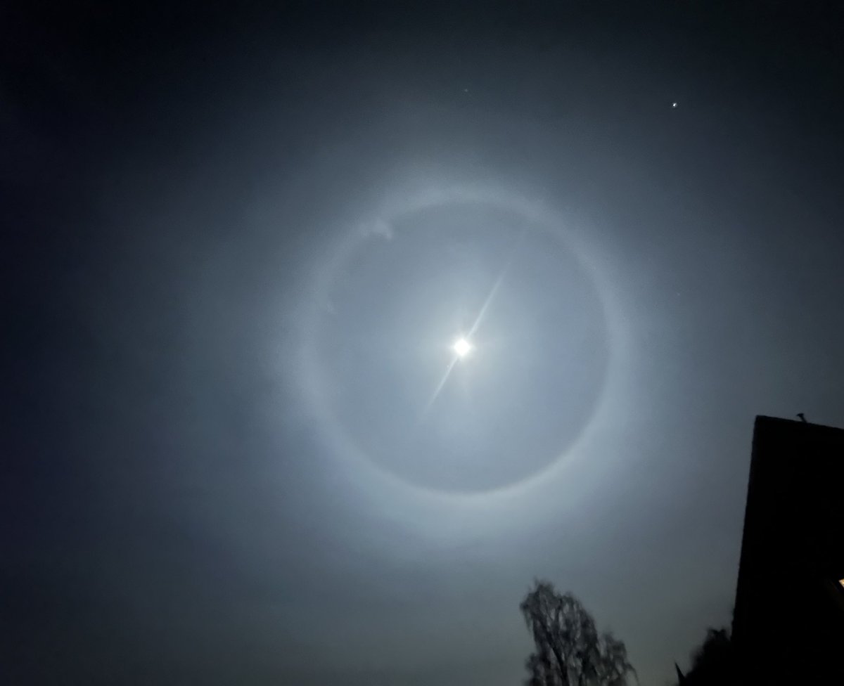 Philipp S. Holstein tweet media