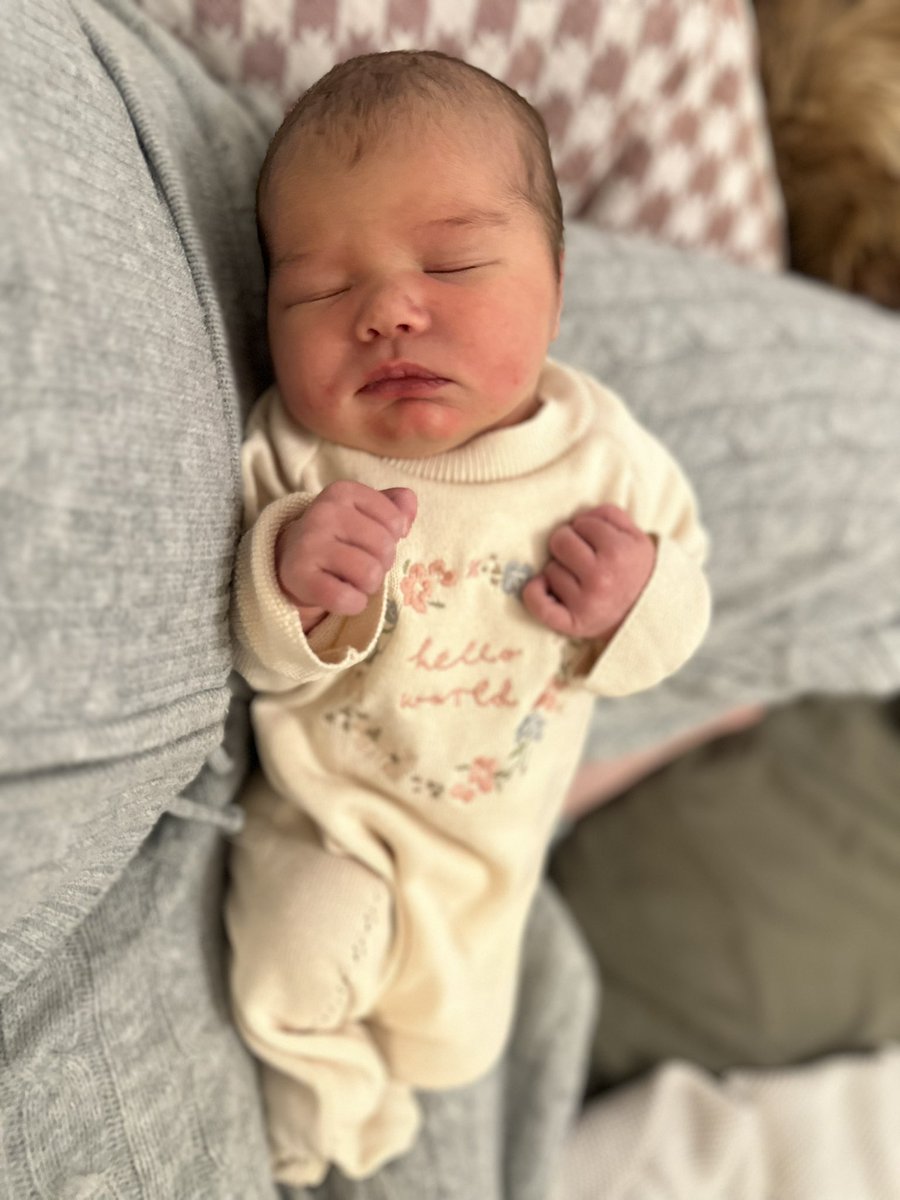 Jonny O'Mara tweet media