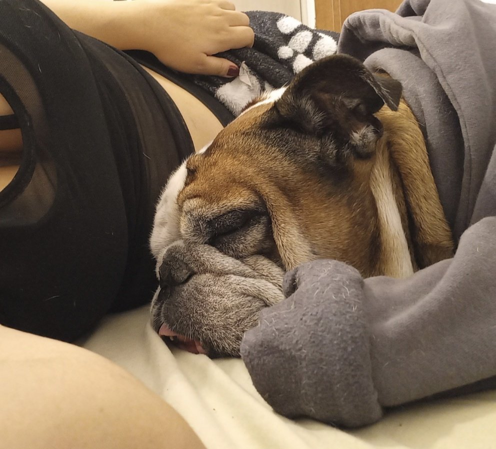 AlejaLopera5's tweet photo. Odio las noches frías por robarte y al despertar y no encontrarte 🐶💔 https://t.co/wmYg1QY5ci