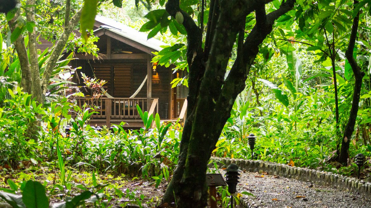 Lodge at Pico Bonito tweet media