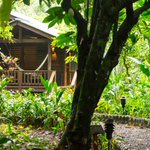 Photo by Lodge at Pico Bonito (@PicoBonito)