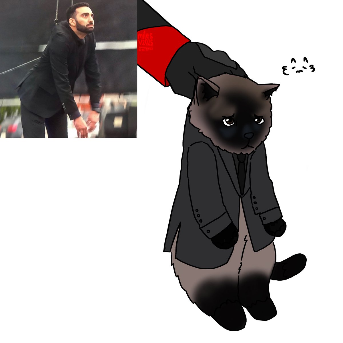 little meow meow #agentstone #leemajdoub #SonicMovie3