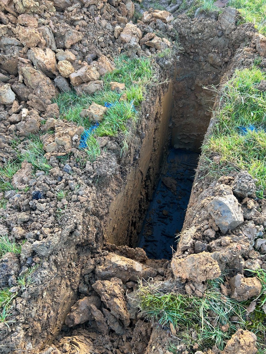 charlesorr's tweet photo. current focus: digging holes https://t.co/GSnAt8OBbA