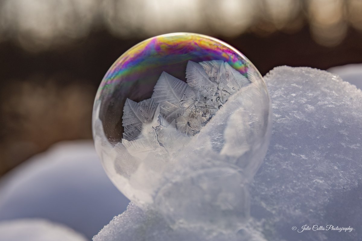 jcollis01's tweet image. Creating frozen bubbles is such fun when it's a frosty day.
#bubbles #frozenbubbles #funphotography #winter
#coldday #canadian #canadianwinter #weatherwindow #shareyourweather #thephotohour @ThePhotoHour @weathernetwork