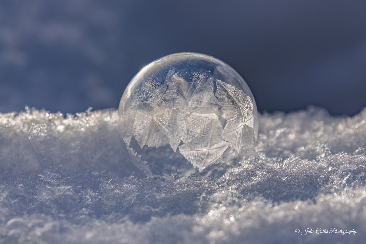 jcollis01's tweet image. Creating frozen bubbles is such fun when it's a frosty day.
#bubbles #frozenbubbles #funphotography #winter
#coldday #canadian #canadianwinter #weatherwindow #shareyourweather #thephotohour @ThePhotoHour @weathernetwork
