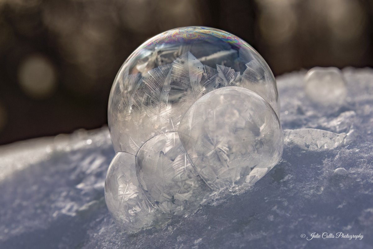 jcollis01's tweet image. Creating frozen bubbles is such fun when it's a frosty day.
#bubbles #frozenbubbles #funphotography #winter
#coldday #canadian #canadianwinter #weatherwindow #shareyourweather #thephotohour @ThePhotoHour @weathernetwork