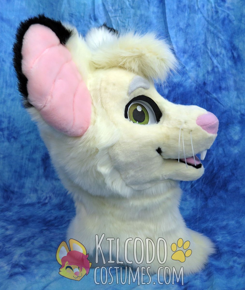 KilcodoCostumes's tweet photo. Winston Mouse is done! Love making rodents, haven't done one in a good while - hope I get to make more soon! 🐁🤍 #fursuit #fursuitmaker #mousefursuit #furry #rodentfursuit #mousefurry https://t.co/LjbcwjeIfk