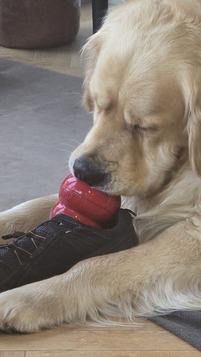 Lisa Holmes tweet media