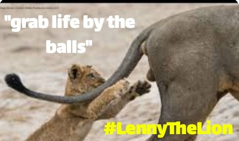 Usesaitapro2's tweet photo. @henokcrypto #LTheL https://t.co/3NTnQEtxk6