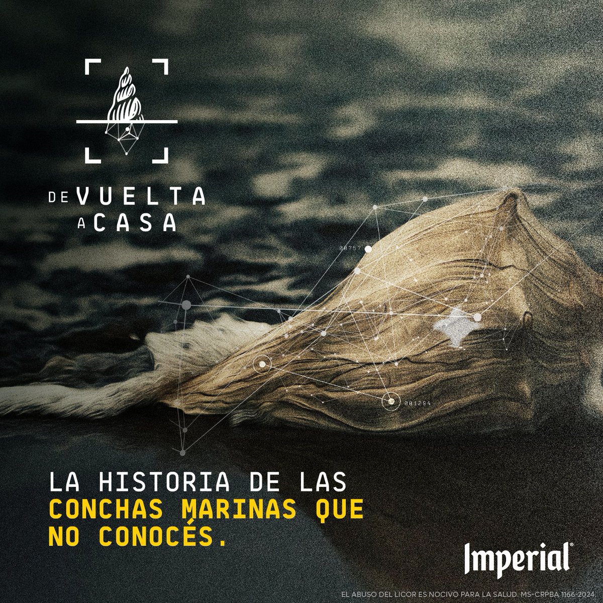 Descubrí en imperial.cr/devueltaacasa la historia de cómo miles de conchas pasaron de una bodega de objetos decomisados en nuestros aeropuertos a estar nuevamente cumpliendo su función el el ecosistema de nuestras playas 🏝💛