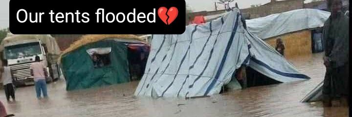 Please  🥹❤️‍🩹 Don't Scroll I really need  share &amp; donate in GFM
I live tent with my children and family and I need to save lives of my children from genocide and get out Gaza, please.❤️‍🩹 I trust you Don't give up on us 🙏
gofund.me/db6b7feb
<a href="/_Junglesurf/">Josh Jones</a> <a href="/Cutloveme/">Cat 📌🏳️‍🌈🏳️‍⚧️</a> 
<a href="/gazafunds/">Gaza Funds</a>