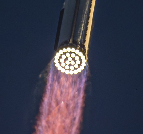 chevrons sauvages 🇫🇷 tweet media