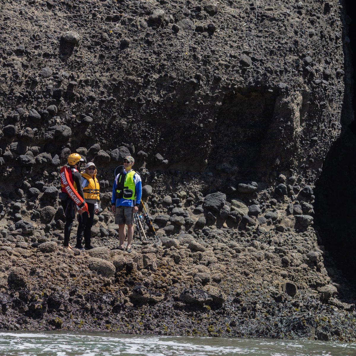 Drowning Prevention Auckland tweet media