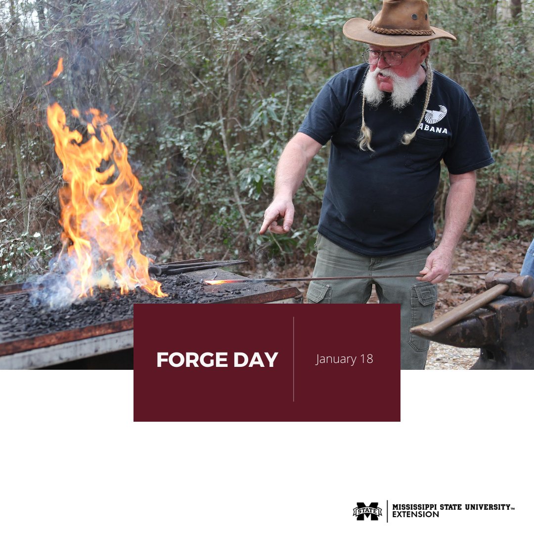 MSU Extension tweet media